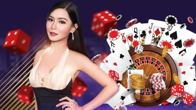 Tampilan jadwal pertandingan live dealer di dashboard hoki 311